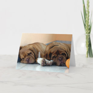 Tarjeta de felicitación Dogue De Bordeaux Dog Blan