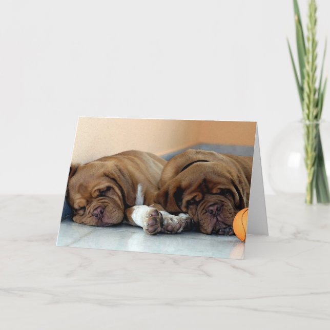 Tarjeta de felicitación Dogue De Bordeaux Dog Blan (Anverso)