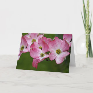 Tarjeta de felicitación:  Dogwood rosado