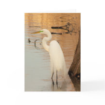 Tarjeta de felicitación dorada plegada