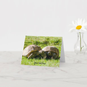 Tarjeta de felicitación: Dos tortugas, ¡mejores am
