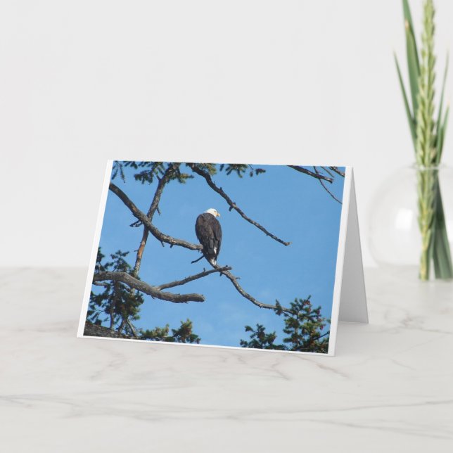 Tarjeta de felicitación Eagle (Anverso)