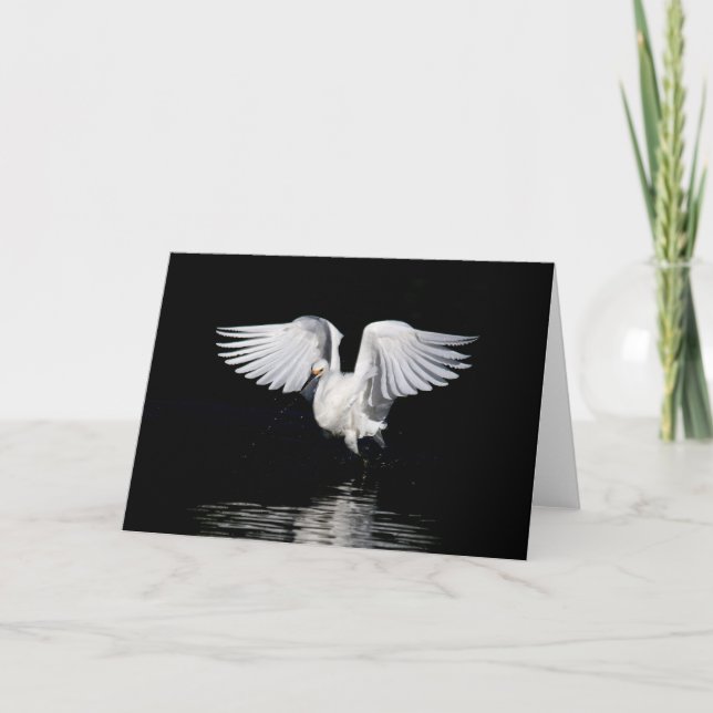 Tarjeta de felicitación - egret nevado (Anverso)