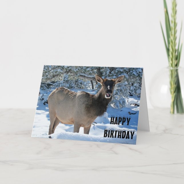 Tarjeta de felicitación Elk in the Snow Happy Birt (Anverso)