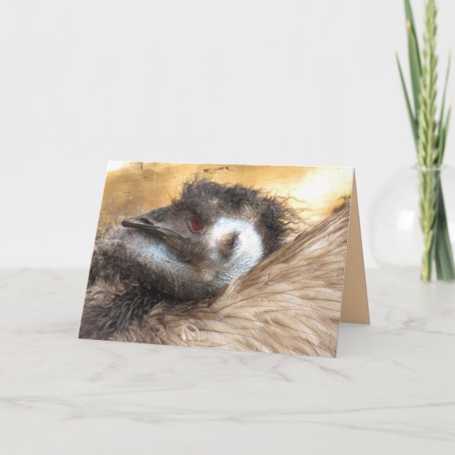 Tarjeta de felicitación Emu Bird (Anverso)