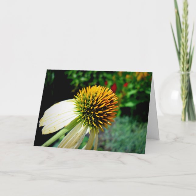 Tarjeta de felicitación en blanco (Anverso)