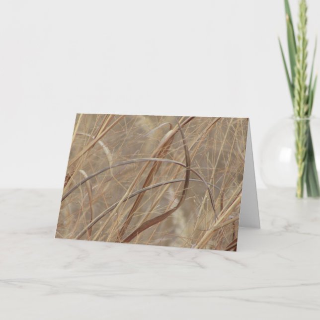 Tarjeta de felicitación en blanco (Anverso)