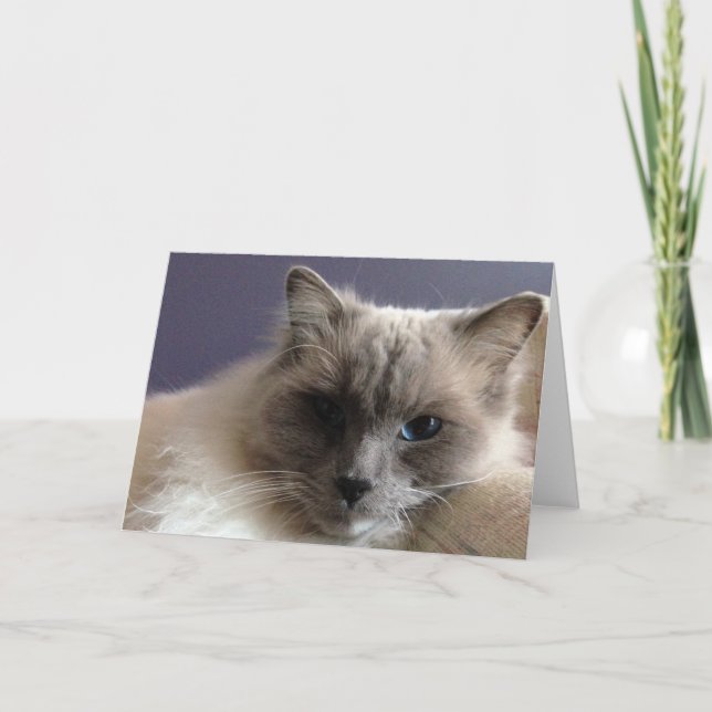 Tarjeta de felicitación en blanco (Anverso)