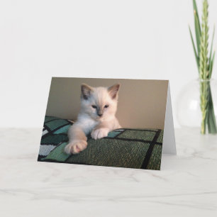 Tarjeta de felicitación en blanco