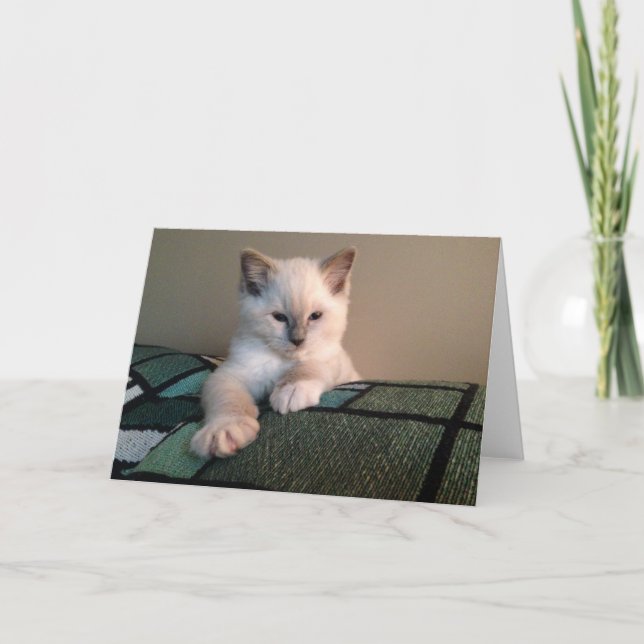 Tarjeta de felicitación en blanco (Anverso)