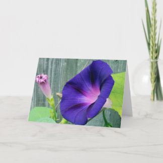 Tarjeta de felicitación en blanco