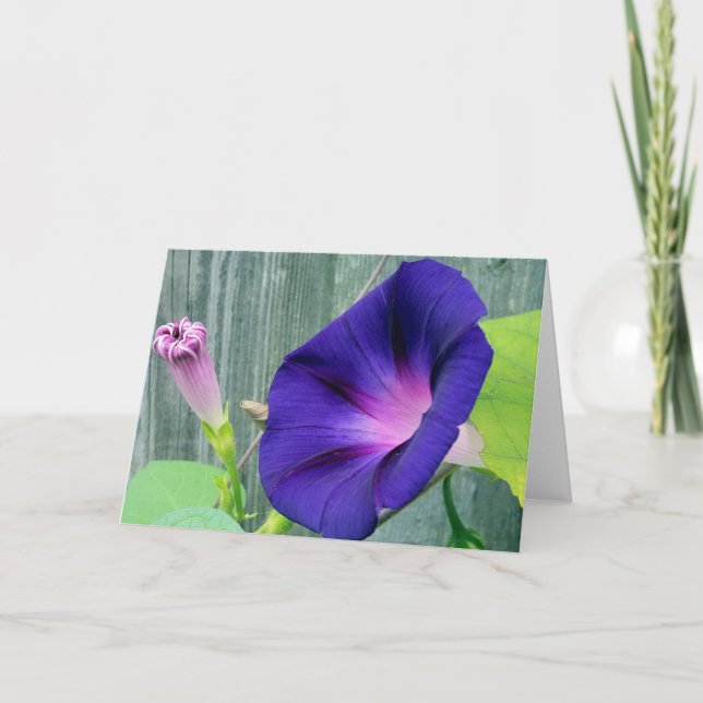 Tarjeta de felicitación en blanco (Anverso)