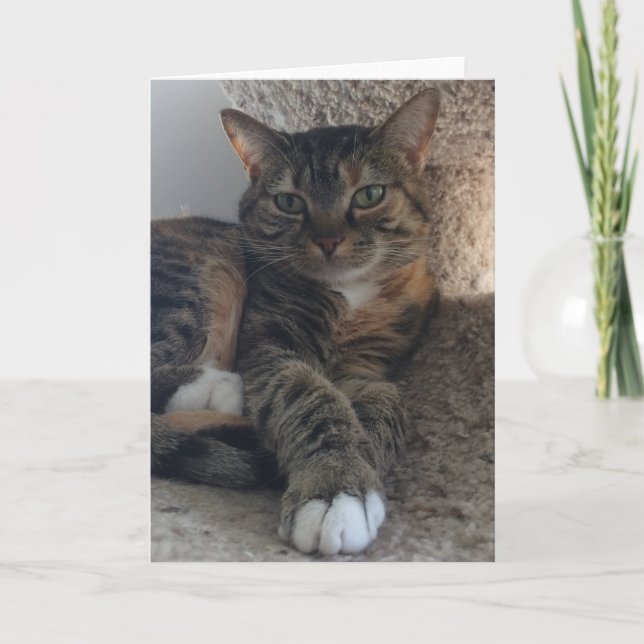 Tarjeta de felicitación en blanco (Anverso)