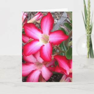 Tarjeta de felicitación en blanco