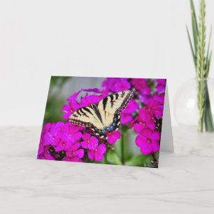 Tarjeta de felicitación en blanco
