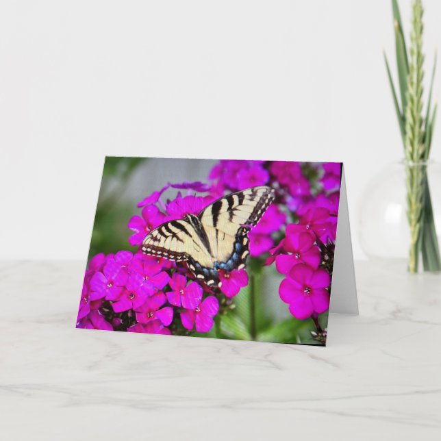 Tarjeta de felicitación en blanco (Anverso)
