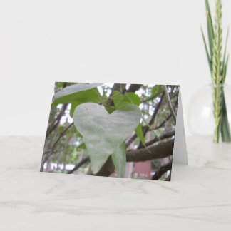 Tarjeta de felicitación en blanco