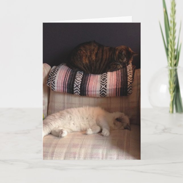 Tarjeta de felicitación en blanco (Anverso)