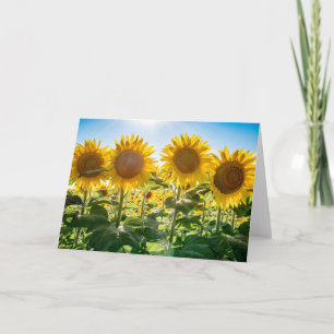 Tarjeta de felicitación en blanco
