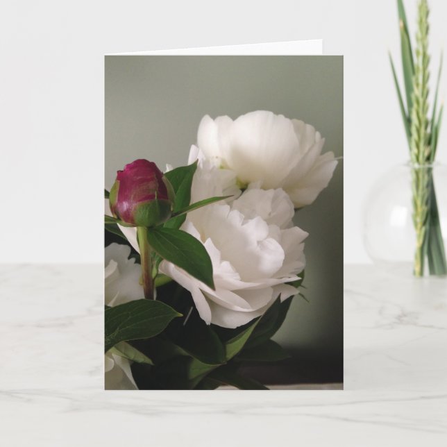 Tarjeta de felicitación en blanco (Anverso)
