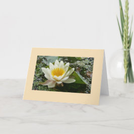 Tarjeta de felicitación en blanco