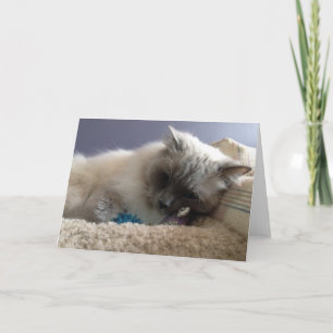 Tarjeta de felicitación en blanco