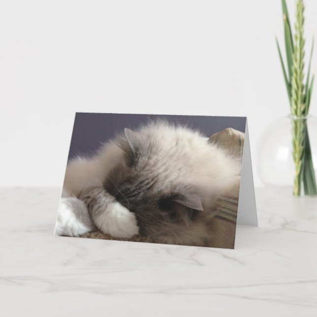 Tarjeta de felicitación en blanco (Anverso)