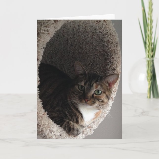 Tarjeta de felicitación en blanco (Anverso)