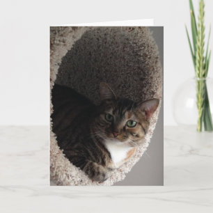 Tarjeta de felicitación en blanco