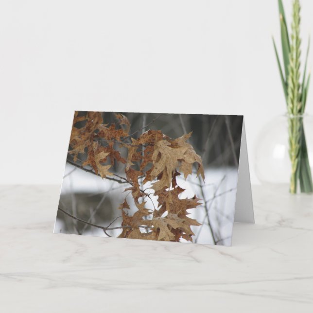 Tarjeta de felicitación en blanco (Anverso)