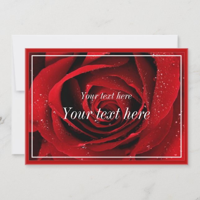 Tarjeta de felicitación en blanco (Anverso)