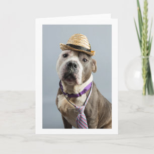 Tarjeta de felicitación en blanco