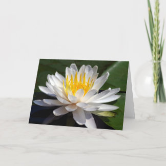 Tarjeta de felicitación en blanco blanca de