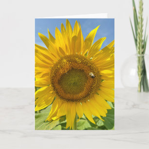 Tarjeta de felicitación en blanco BuZZy Bee & Sunf