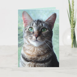 Tarjeta de felicitación en blanco con atigrado de