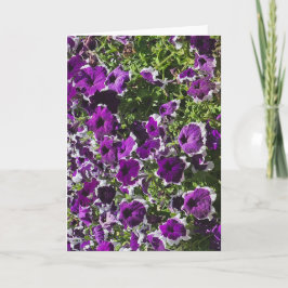 Tarjeta de felicitación en blanco con flores púrpu