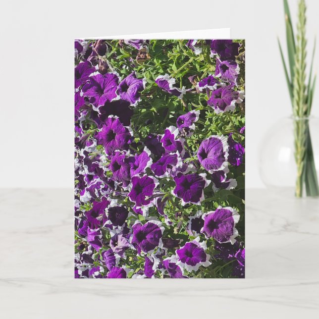 Tarjeta de felicitación en blanco con flores púrpu (Anverso)