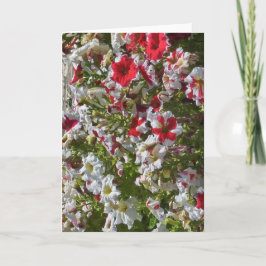 Tarjeta de felicitación en blanco con flores rojas