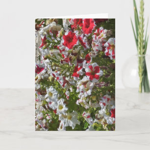Tarjeta de felicitación en blanco con flores rojas