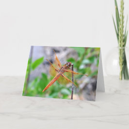 Tarjeta de felicitación en blanco con foto de Drag
