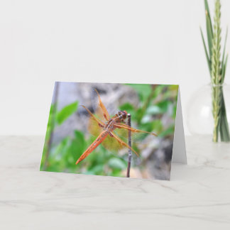 Tarjeta de felicitación en blanco con foto de Drag