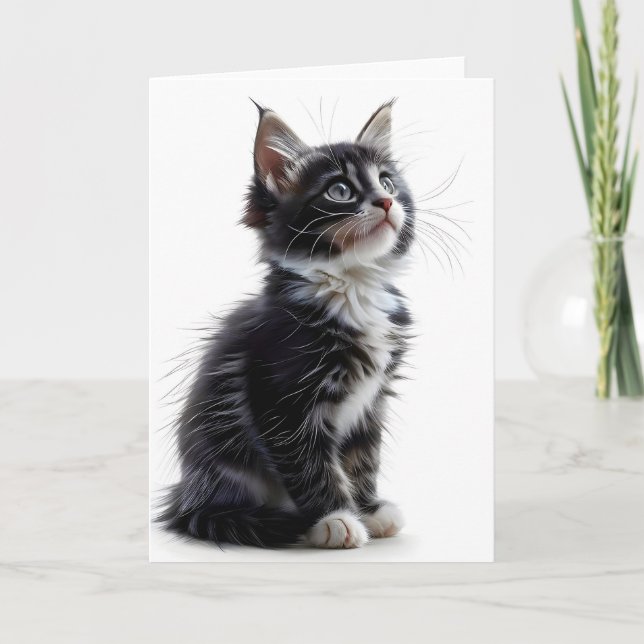 Tarjeta de felicitación en blanco con gato de pelo (Anverso)