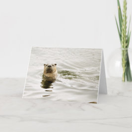 Tarjeta de felicitación en blanco con la foto de