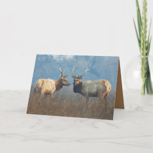 Tarjeta de felicitación en blanco con pareja de co