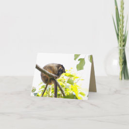 Tarjeta de felicitación en blanco con Tree Kangaro