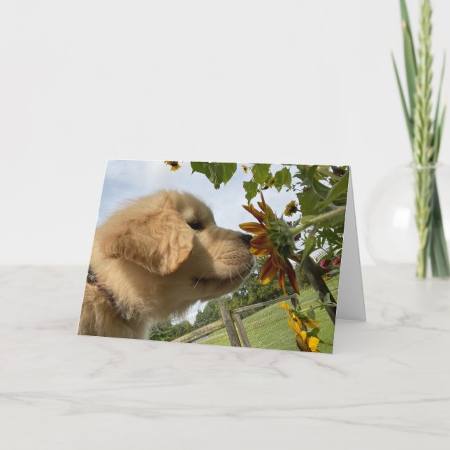 Tarjeta de felicitación en blanco de Adventures de (Anverso)