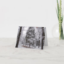 Tarjeta de felicitación en blanco de bosques de in