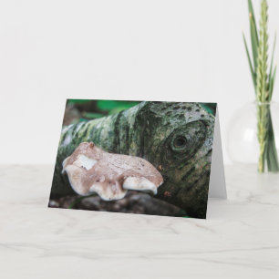 Tarjeta de felicitación en blanco de la Creatura d