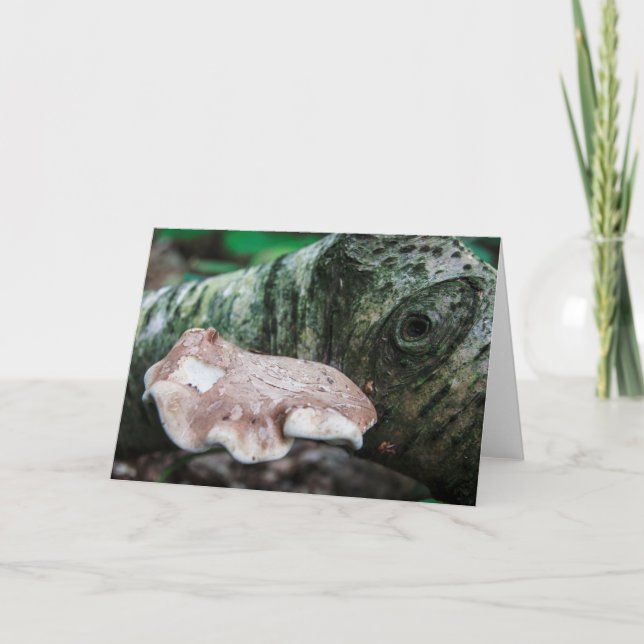 Tarjeta de felicitación en blanco de la Creatura d (Anverso)