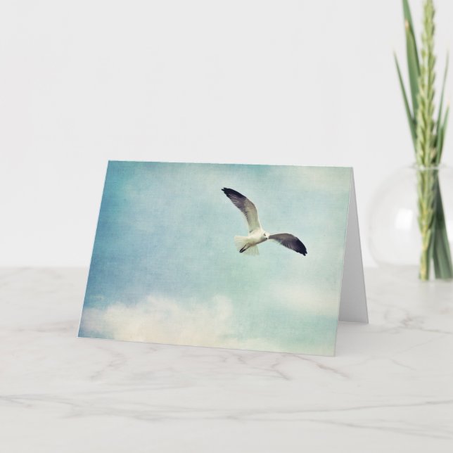Tarjeta de felicitación en blanco de la gaviota (Anverso)